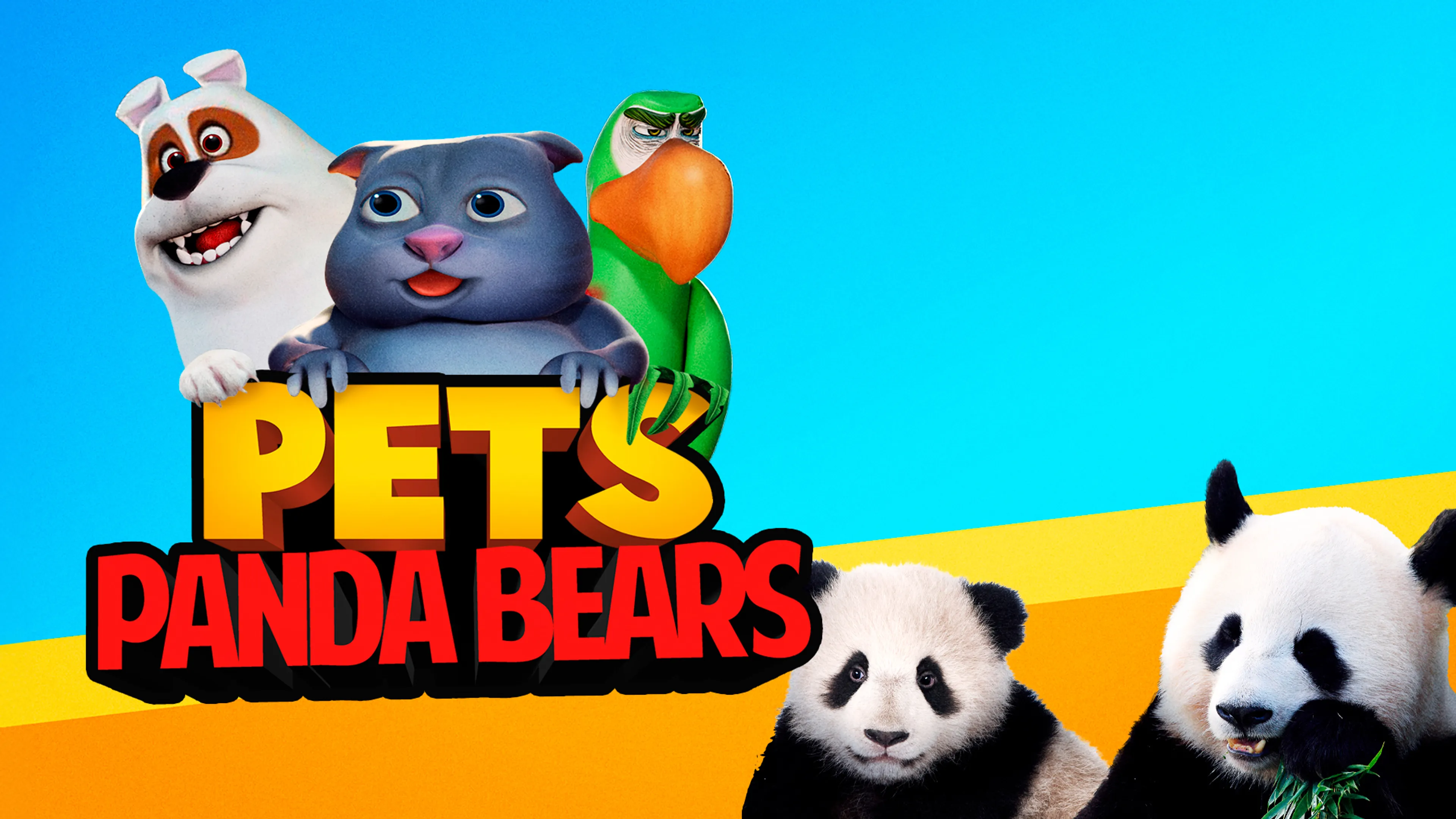 Pets: Panda Bears poster